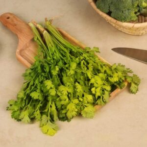 Coriander Bunch (Dhaniya) 100g
